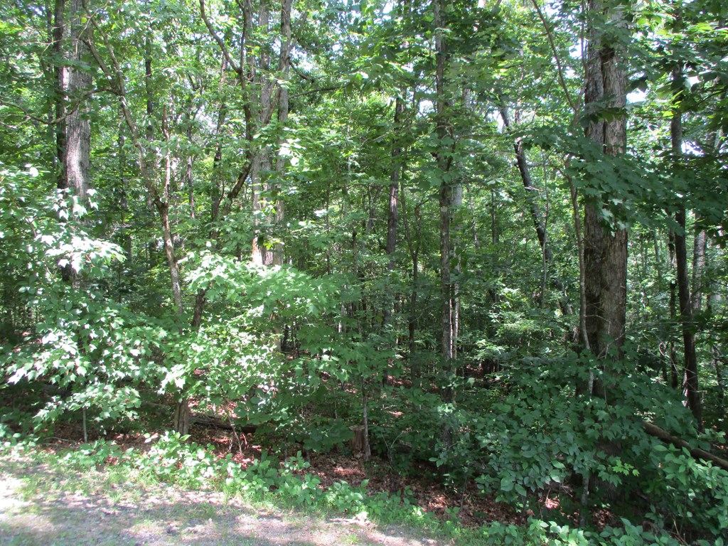 74a Licklog Ridge Property Photo 7