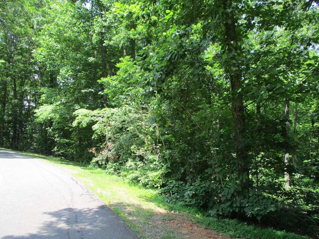 74a Licklog Ridge Property Photo 9