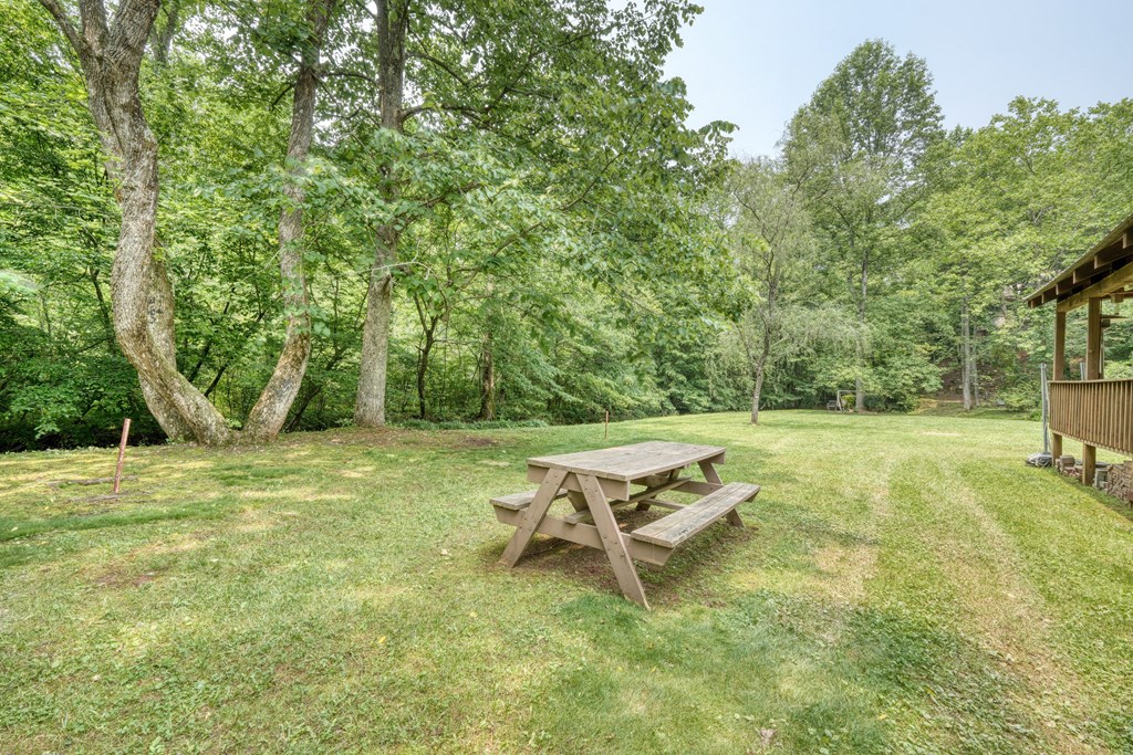 114 Bear Bend Property Photo 22