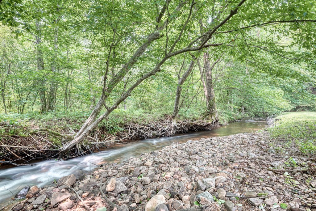 114 Bear Bend Property Photo 25