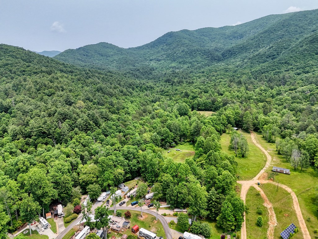 114 Bear Bend Property Photo 35