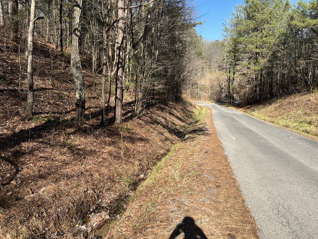 Lot 821 Monody Lane Property Photo 1
