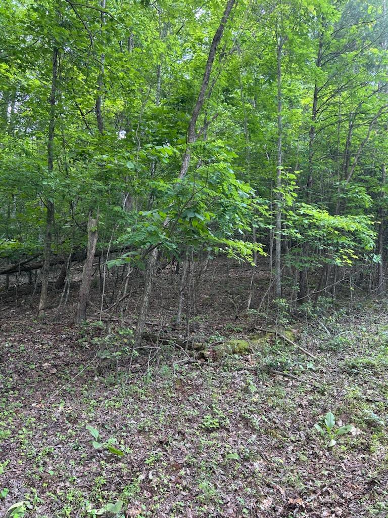 1 White Eagle Road Property Photo 1