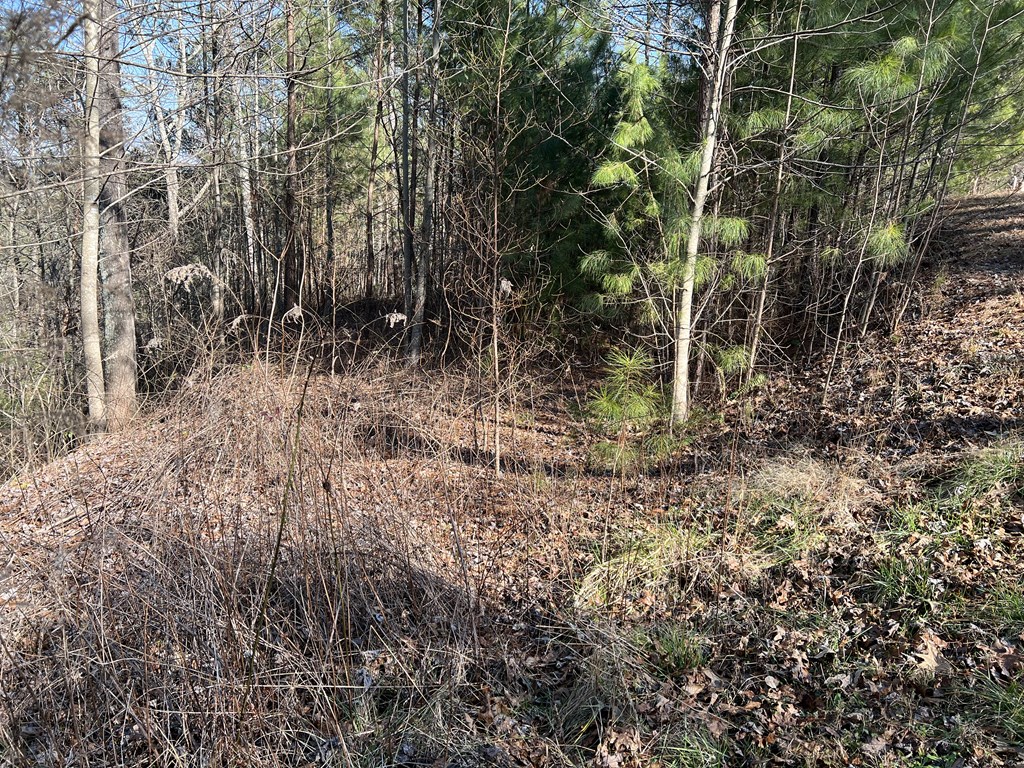 Lot 1855 Hunter Drive Property Photo 6