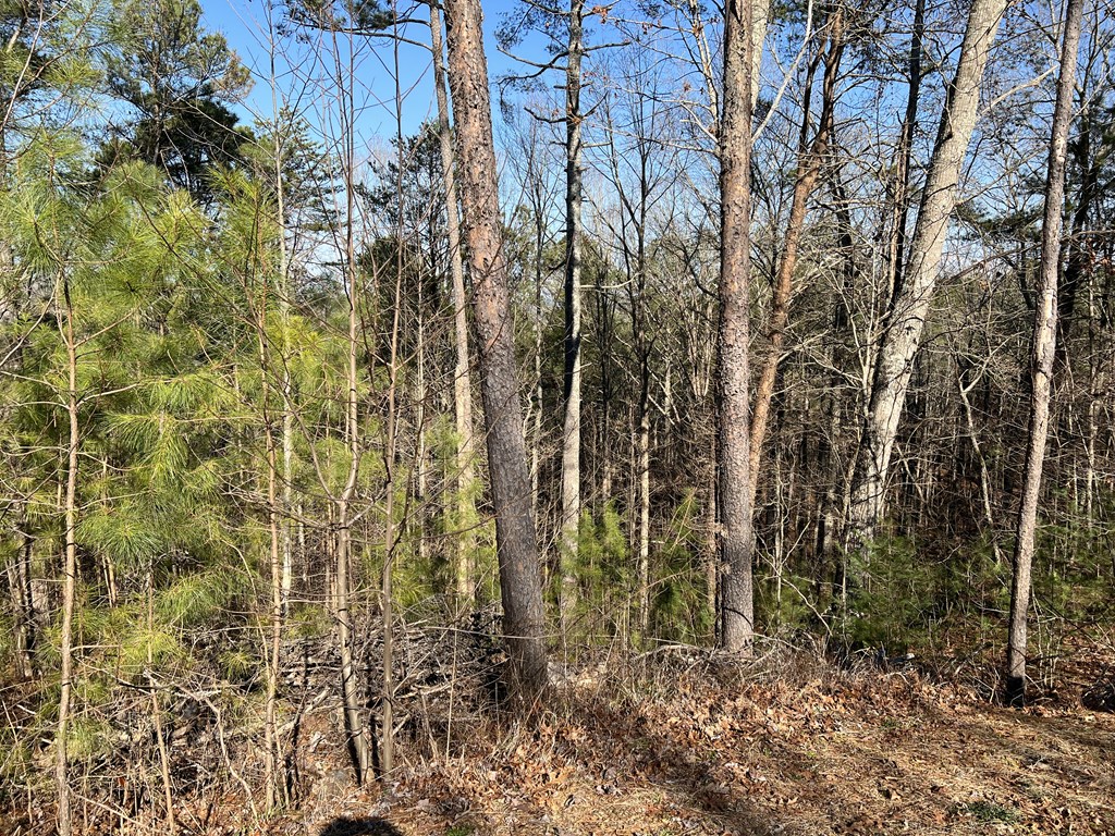 Lot 1855 Hunter Drive Property Photo 7
