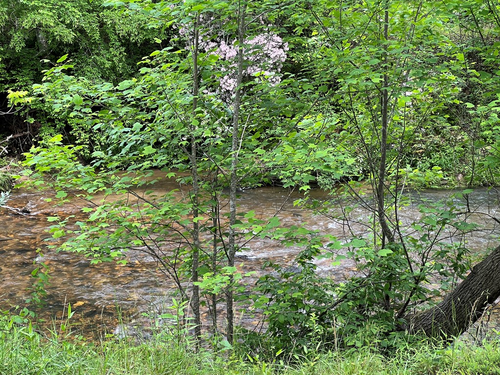 Lot 52 Madeline Way Property Photo 5