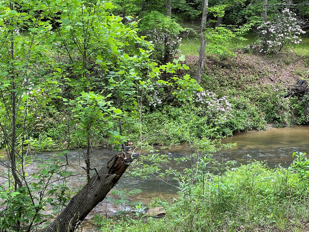 Lot 52 Madeline Way Property Photo 10