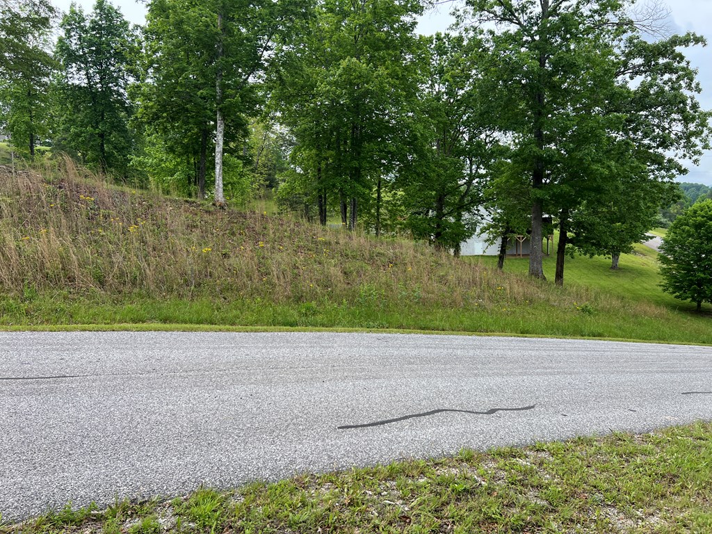 Lot 52 Madeline Way Property Photo 11