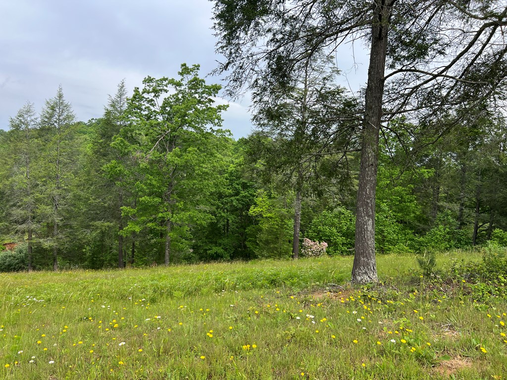 Lot 52 Madeline Way Property Photo 13