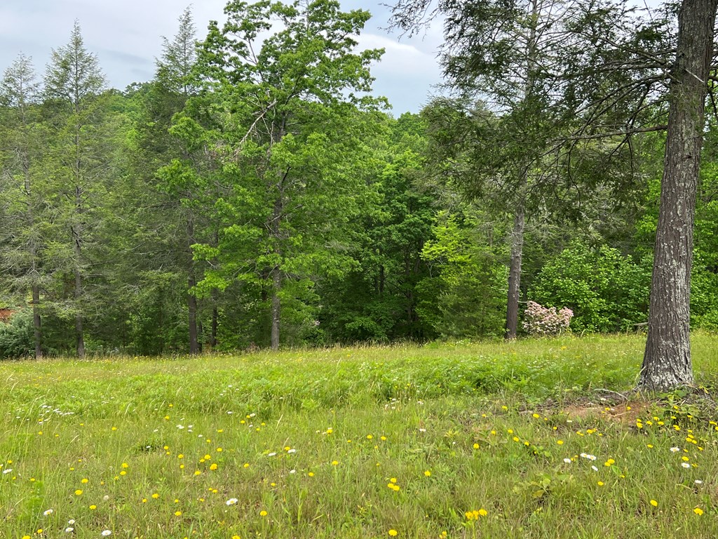 Lot 52 Madeline Way Property Photo 26