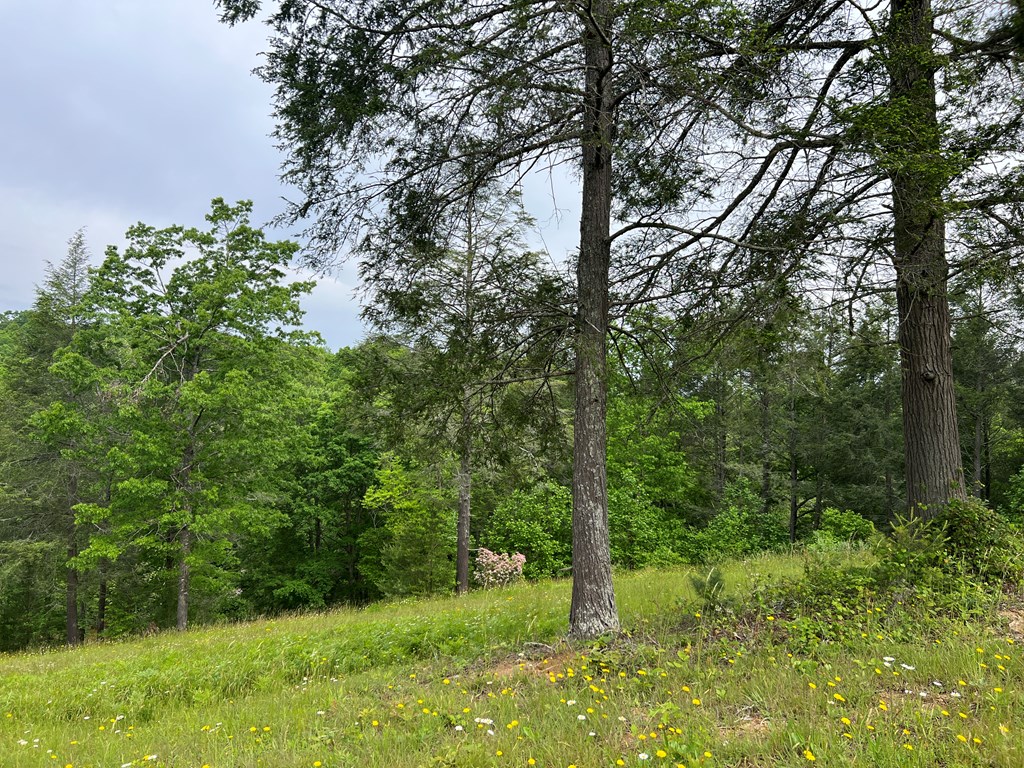 Lot 52 Madeline Way Property Photo 31
