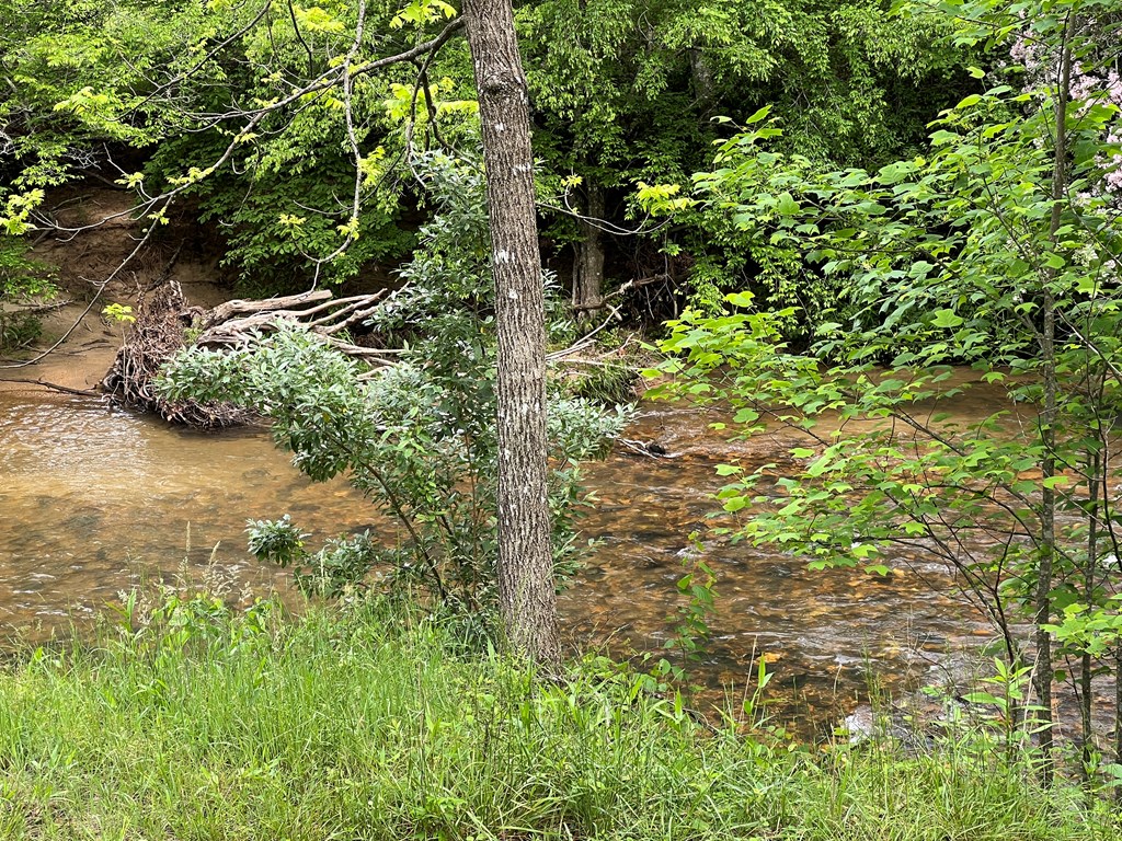Lot 52 Madeline Way Property Photo 32