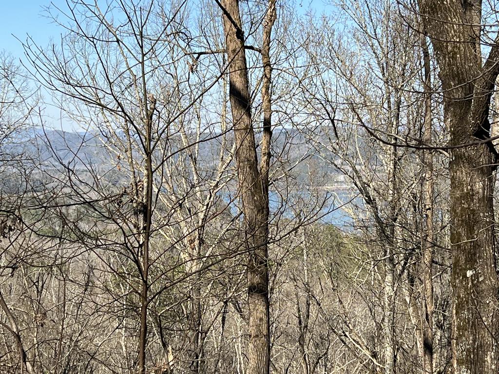 Lot 326 Adair Drive Property Photo 1