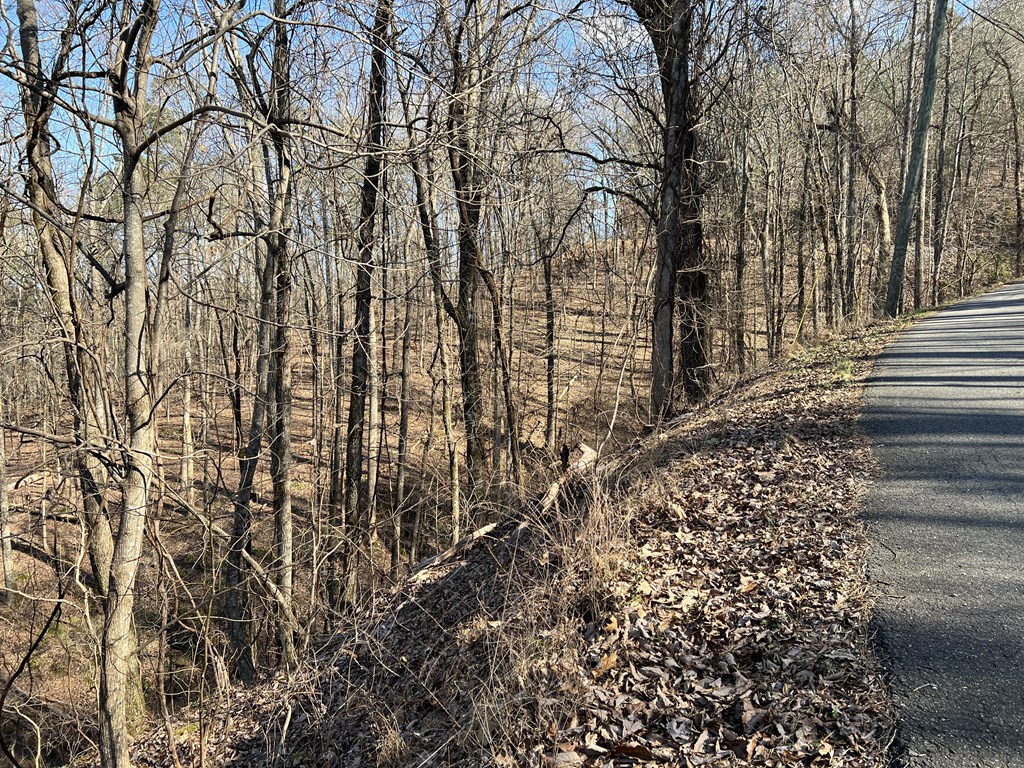 Lot 326 Adair Drive Property Photo 3