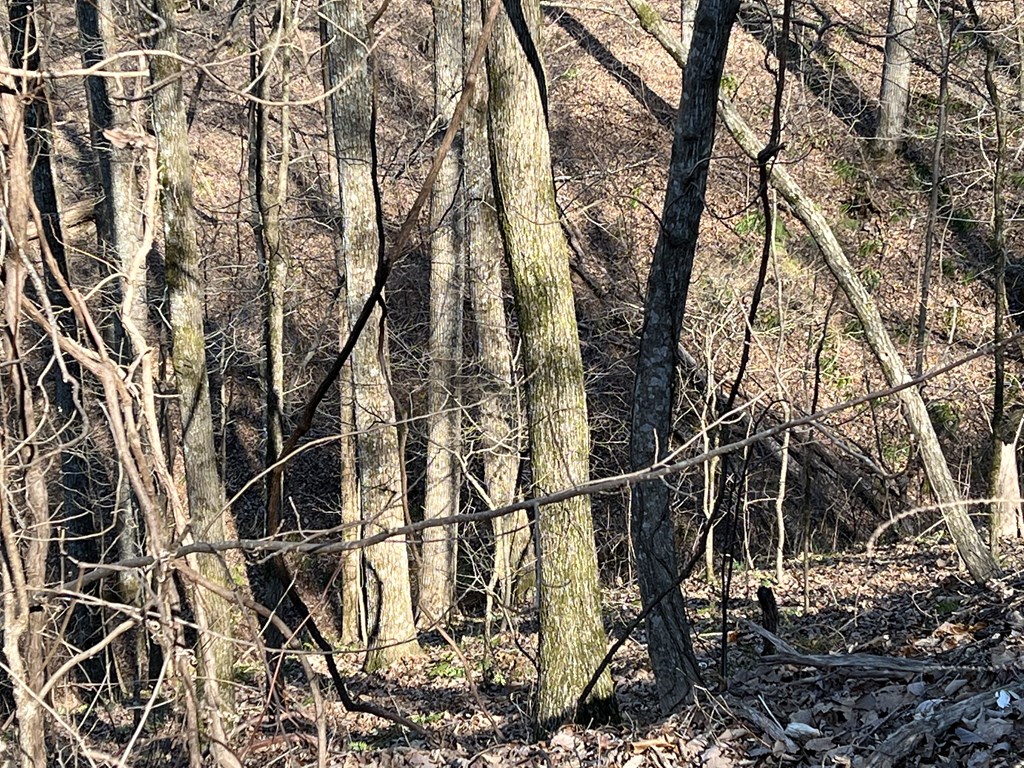 Lot 326 Adair Drive Property Photo 8