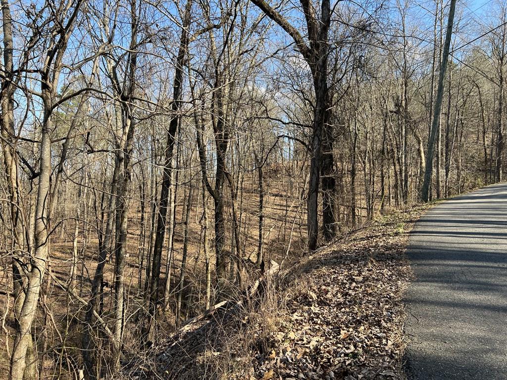 Lot 326 Adair Drive Property Photo 9