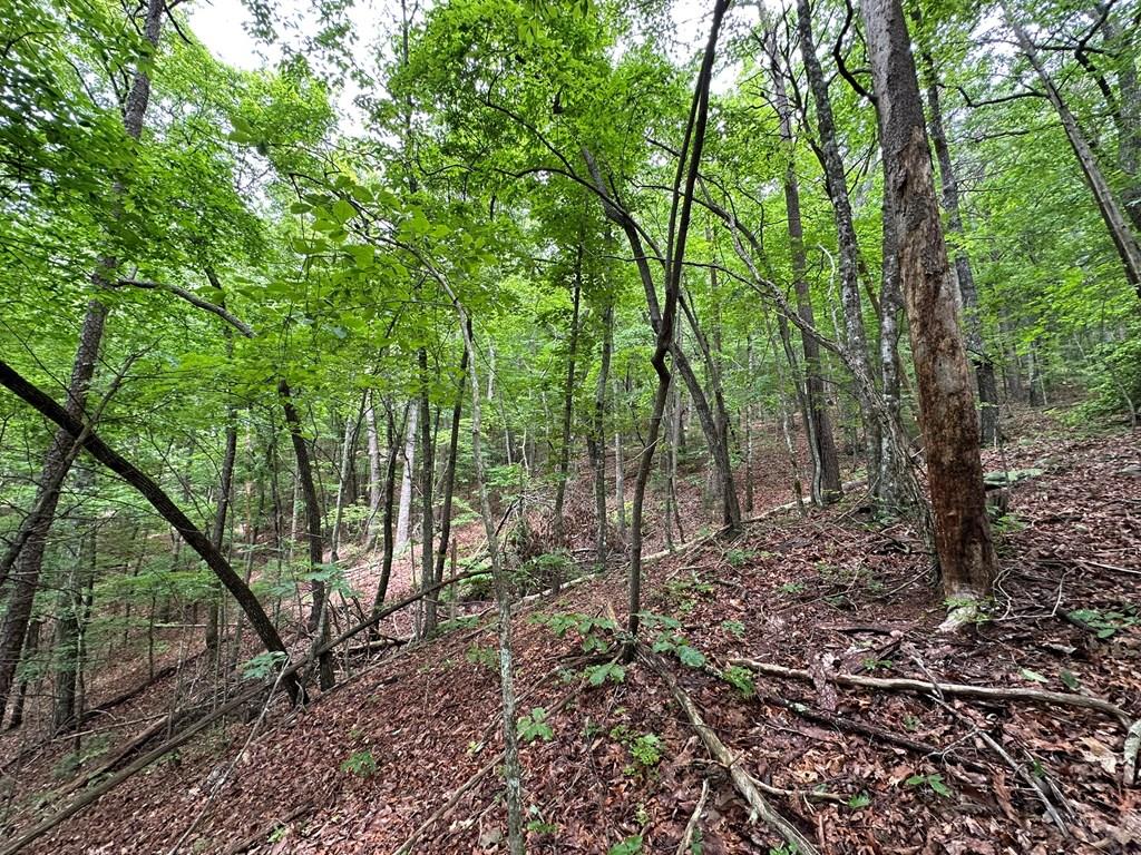 0 Creekview Drive Property Photo 1