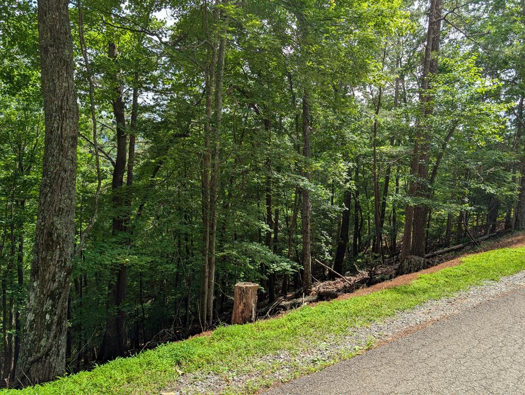 Lot A28 Laurel Ridge Property Photo 1