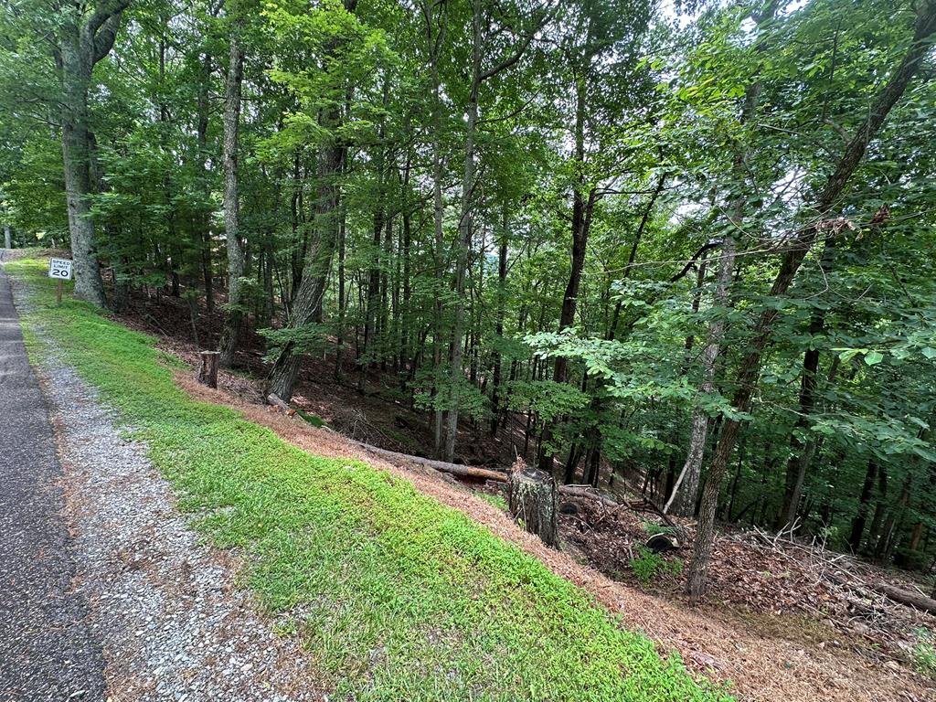 Lot A28 Laurel Ridge Property Photo 2