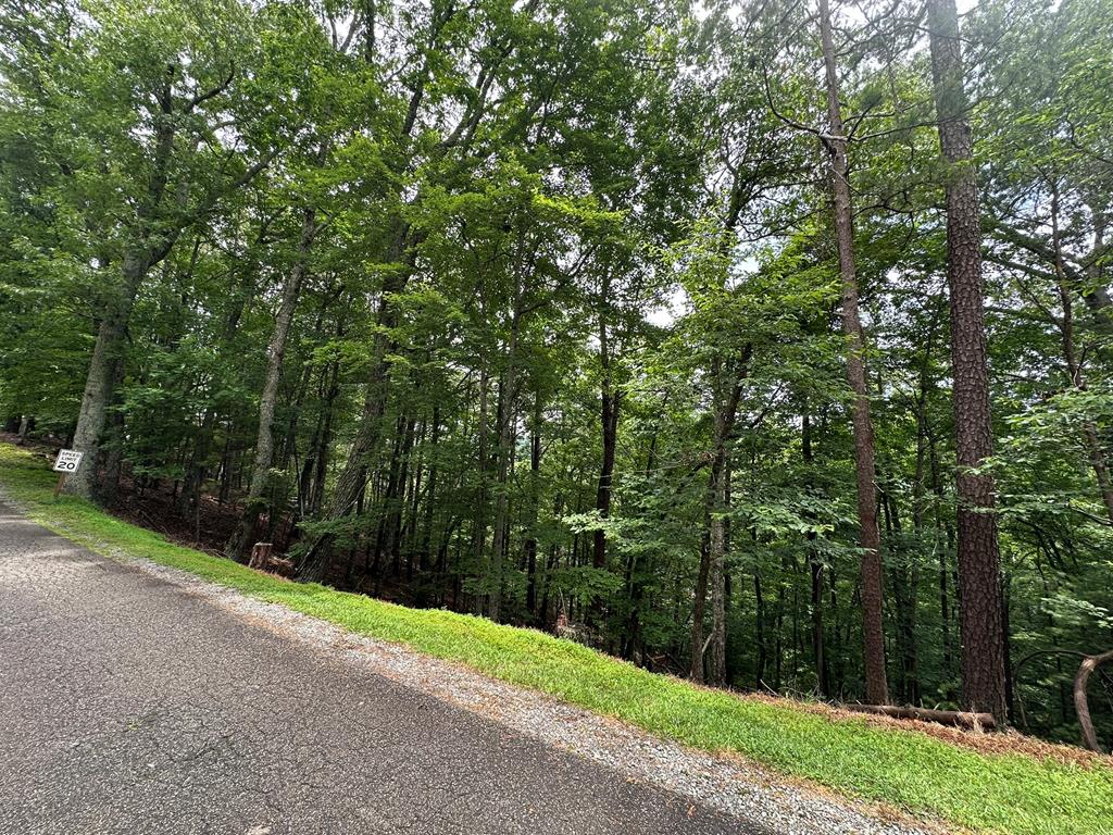 Lot A28 Laurel Ridge Property Photo 3