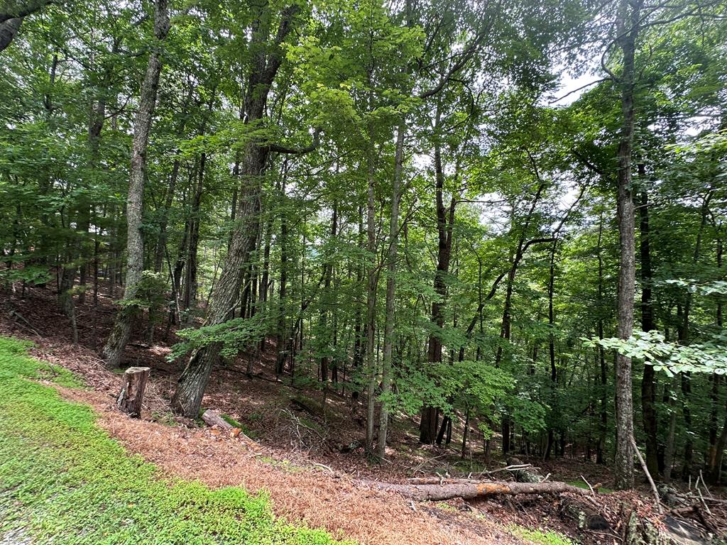 Lot A28 Laurel Ridge Property Photo 4