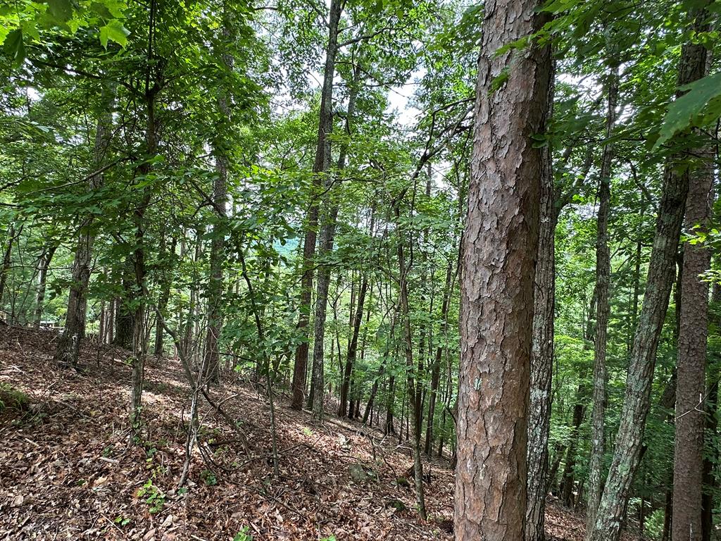 Lot A28 Laurel Ridge Property Photo 5