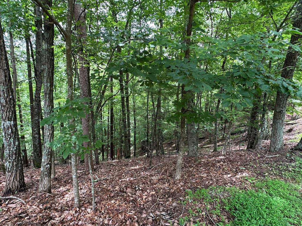 Lot A28 Laurel Ridge Property Photo 6