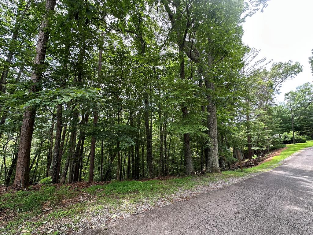Lot A28 Laurel Ridge Property Photo 7