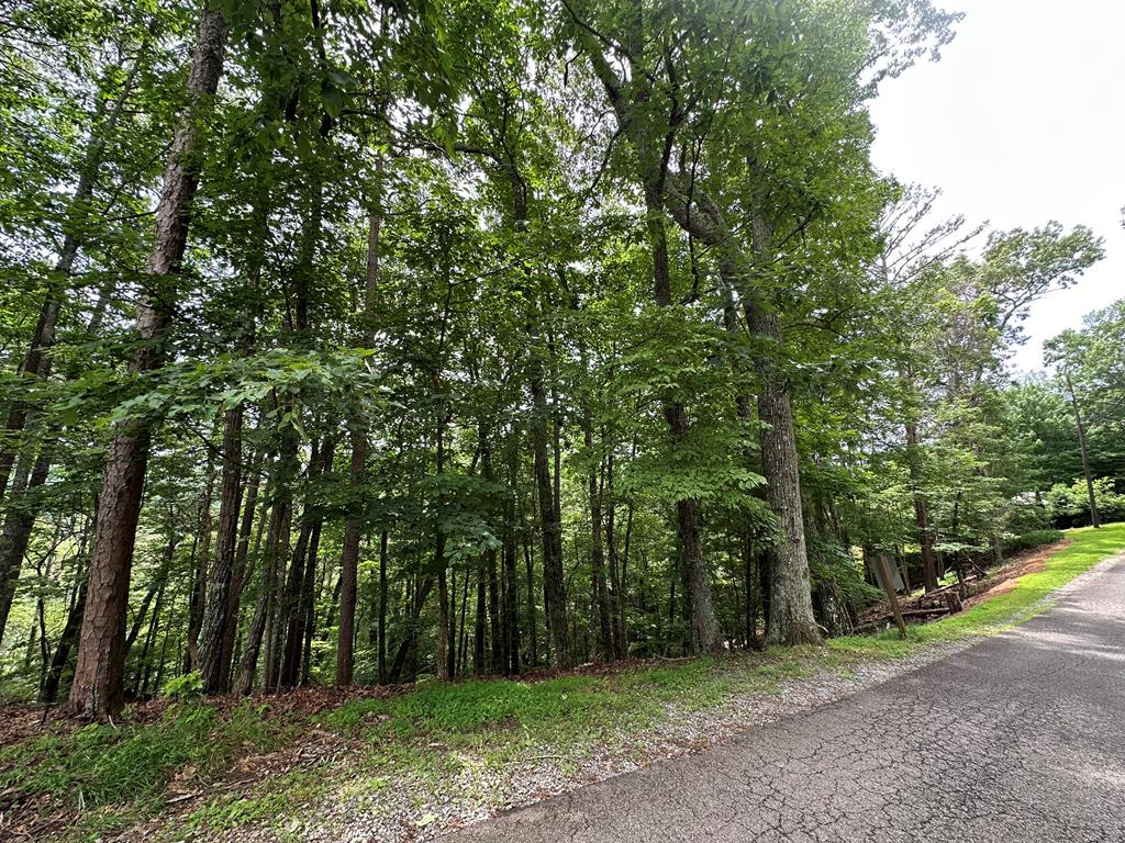 Lot A28 Laurel Ridge Property Photo 8
