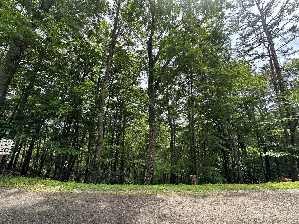 Lot A28 Laurel Ridge Property Photo 9