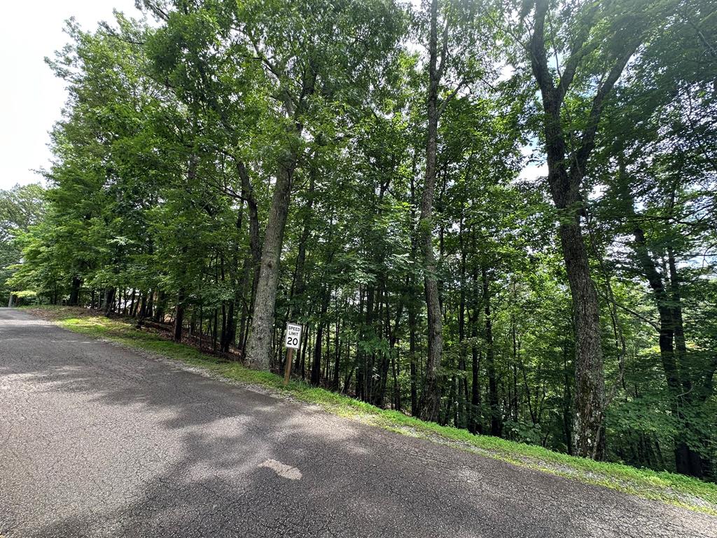 Lot A28 Laurel Ridge Property Photo 10