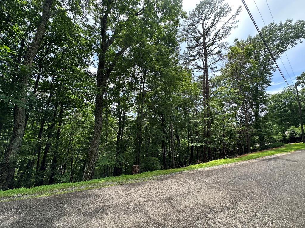 Lot A28 Laurel Ridge Property Photo 11
