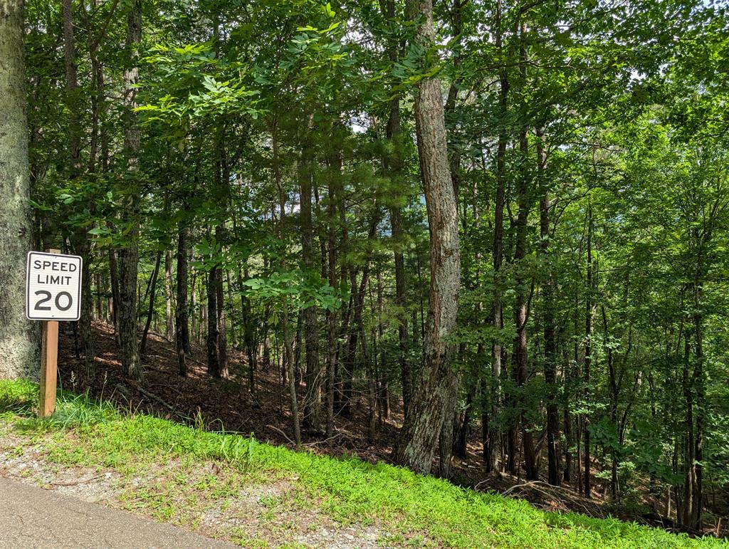 Lot A28 Laurel Ridge Property Photo 12