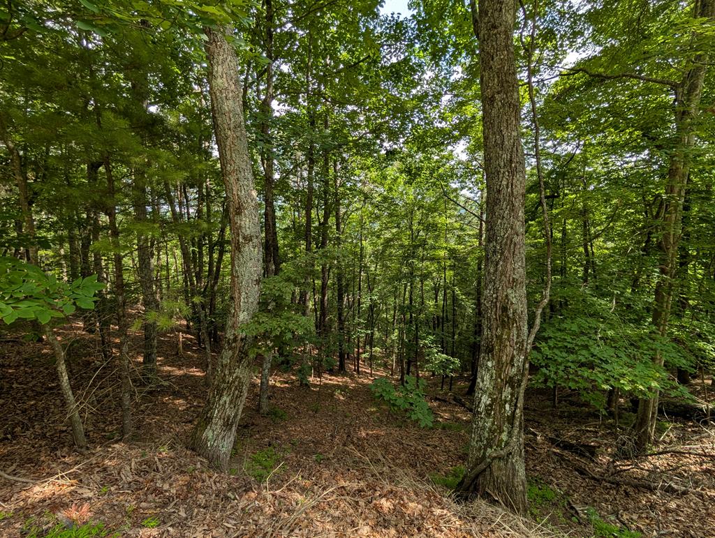 Lot A28 Laurel Ridge Property Photo 13