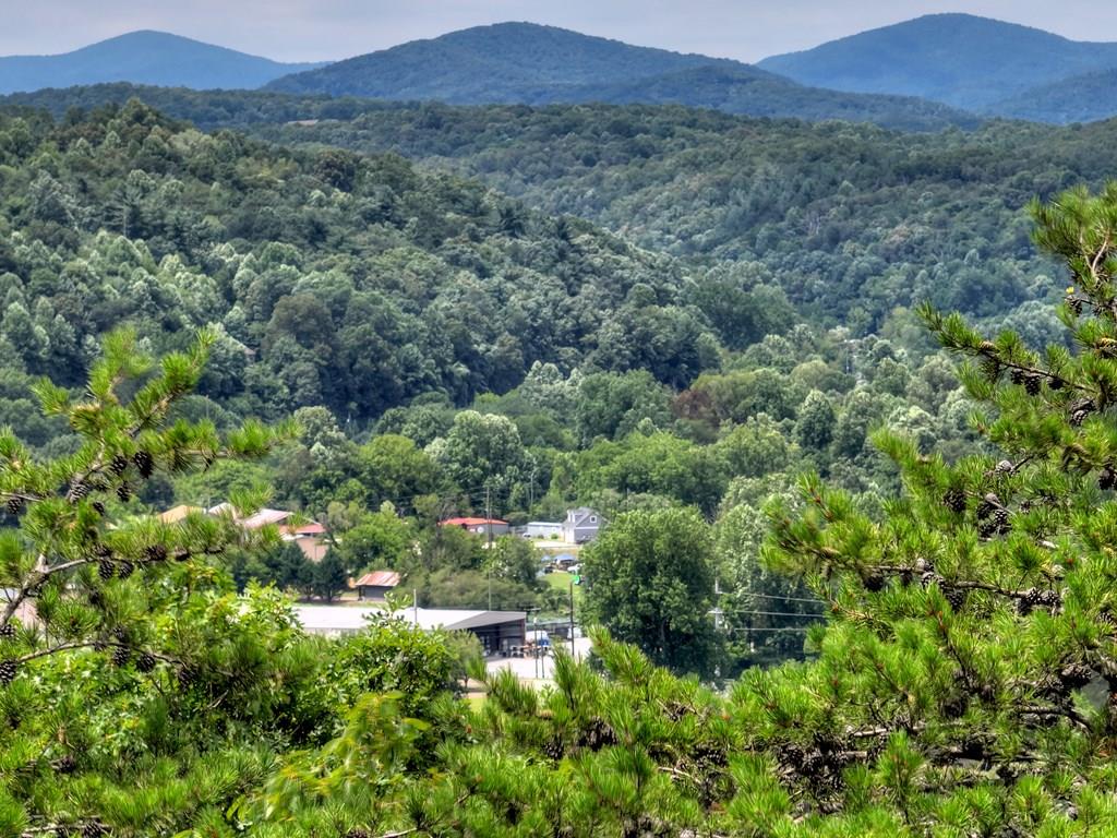 Lot 4 Mountain Trace Property Photo 1