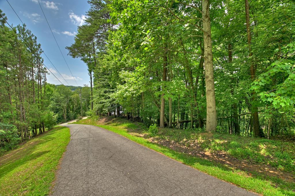 Lot 4 Mountain Trace Property Photo 3