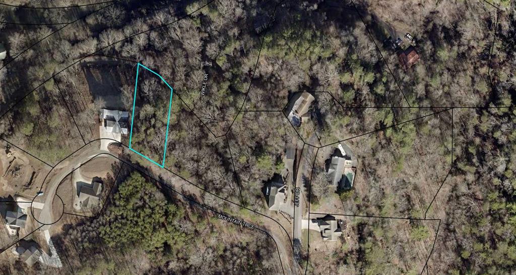 Lot 4 Mountain Trace Property Photo 4