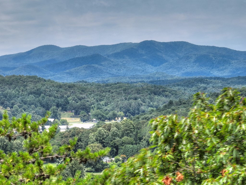 Lot 4 Mountain Trace Property Photo 6