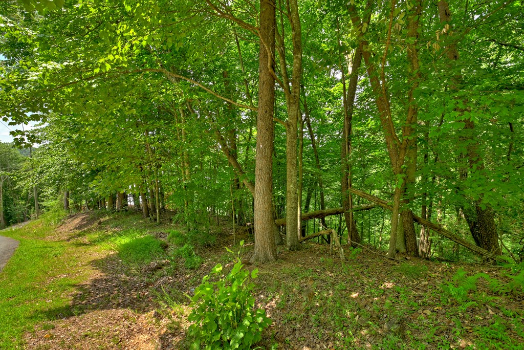 Lot 4 Mountain Trace Property Photo 8