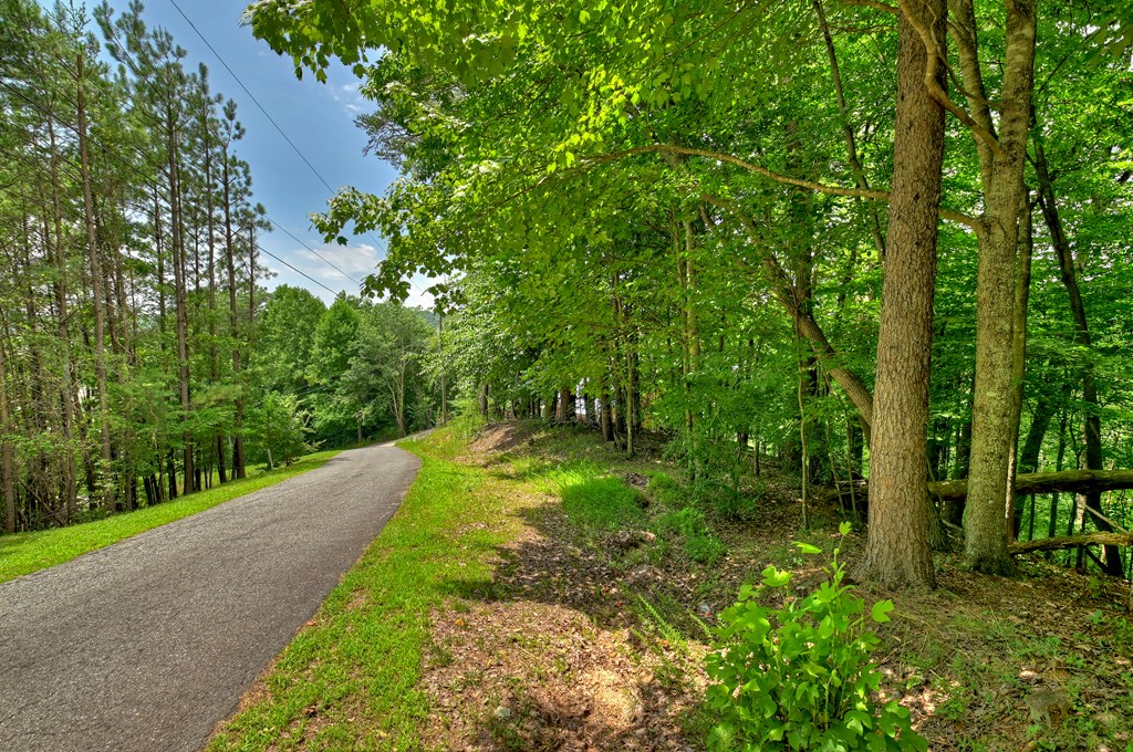 Lot 4 Mountain Trace Property Photo 9