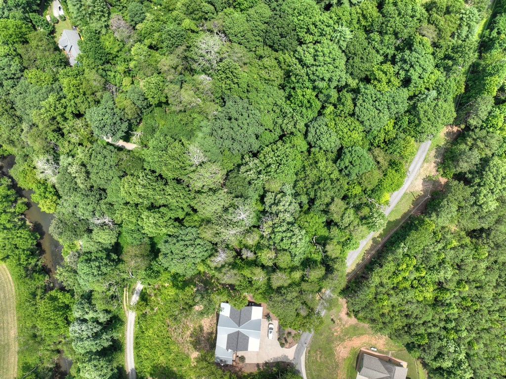 Lot 4 Mountain Trace Property Photo 10