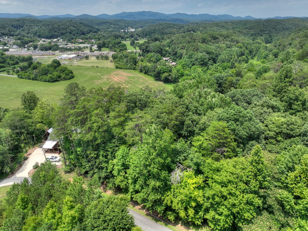 Lot 4 Mountain Trace Property Photo 13
