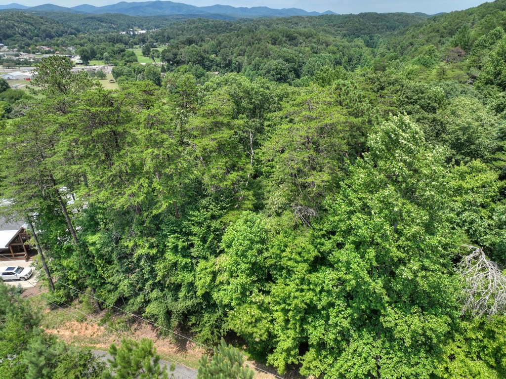 Lot 4 Mountain Trace Property Photo 14