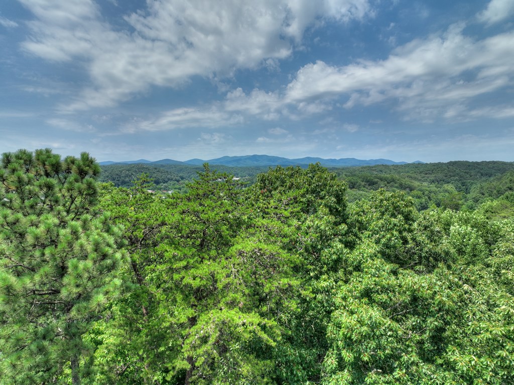Lot 4 Mountain Trace Property Photo 15