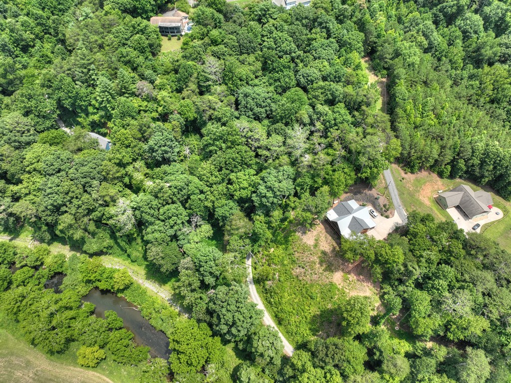 Lot 4 Mountain Trace Property Photo 16