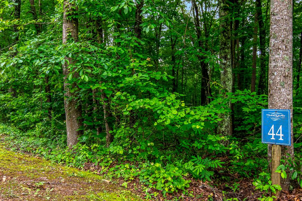 Lot 44 Harris Creek Drive Property Photo 1