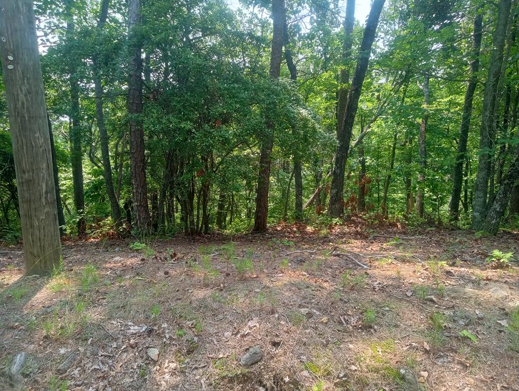 Lt 1227 Hilton Drive Property Photo 1