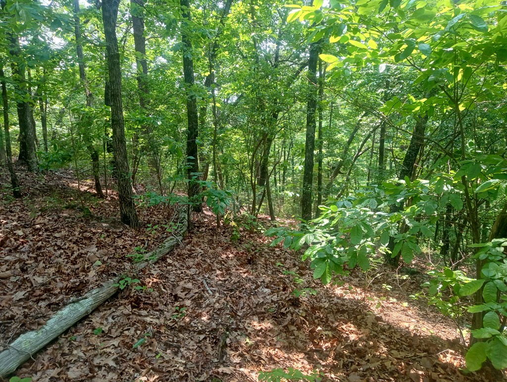 Lt 1227 Hilton Drive Property Photo 7