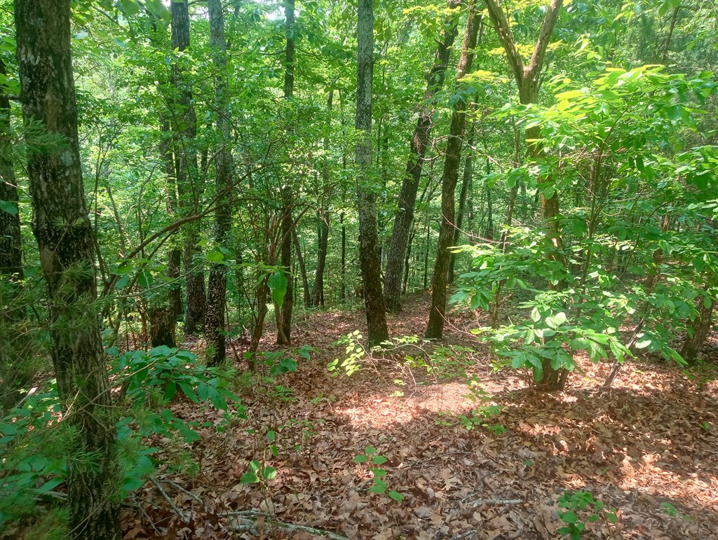 Lt 1227 Hilton Drive Property Photo 9
