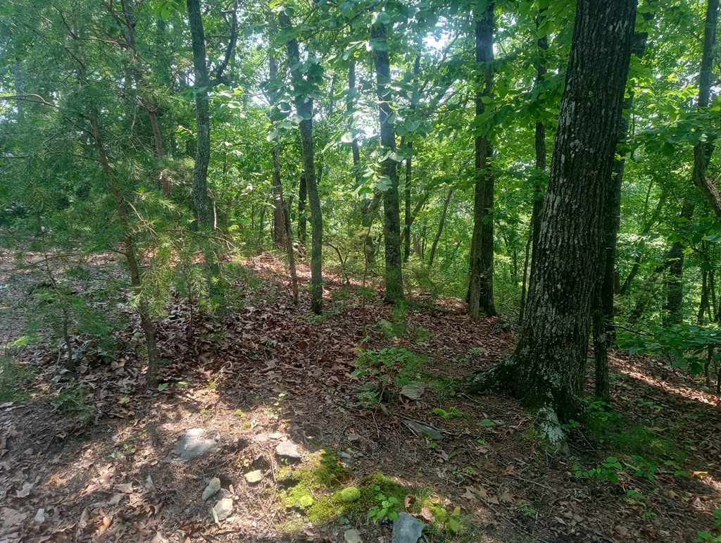Lt 1227 Hilton Drive Property Photo 10